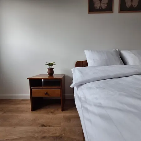 Magic - Zatoria Zator