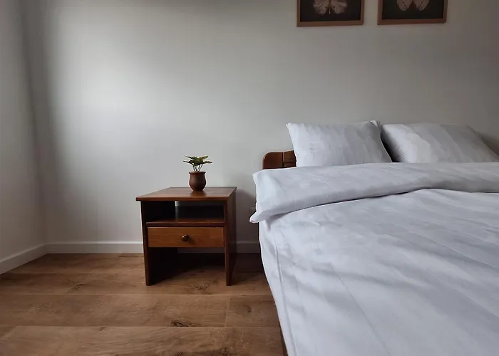 Magic - Zatoria Zator